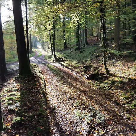 Fornsbachblick *