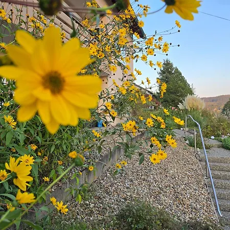 Fornsbachblick Murrhardt